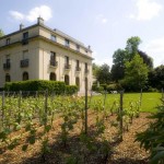 Vigne-et-chateau Paris bagatelle